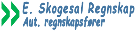 Logo av E. Skogesal Regnskap